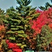 2022 Fall Colors at Fort McCoy's Equipment Park