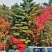 2022 Fall Colors at Fort McCoy's Equipment Park