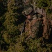 US Marines with Combat Logistics Battalion 6 Conduct Sensitive Site Exploitation Drills in Finland