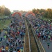 47th Marine Corps Marathon