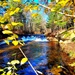 2022 Fall Colors at Trout Falls at Fort McCoy's Pine View Recreation Area