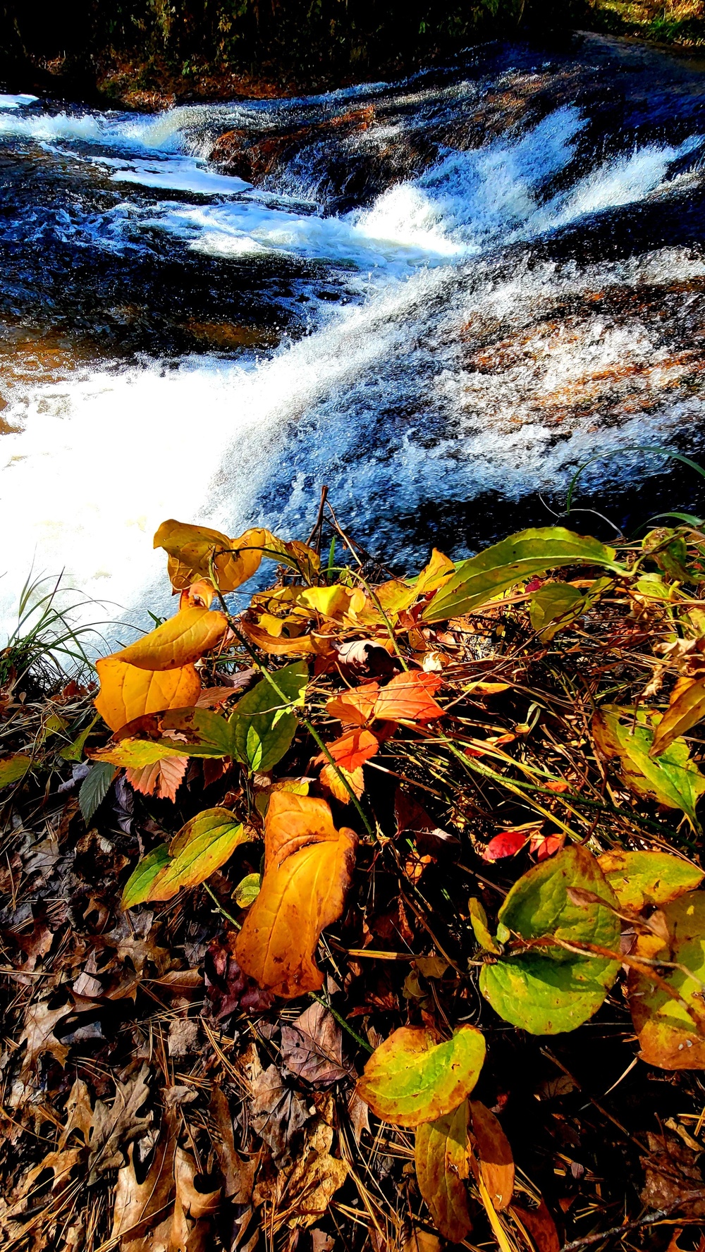 2022 Fall Colors at Trout Falls at Fort McCoy's Pine View Recreation Area