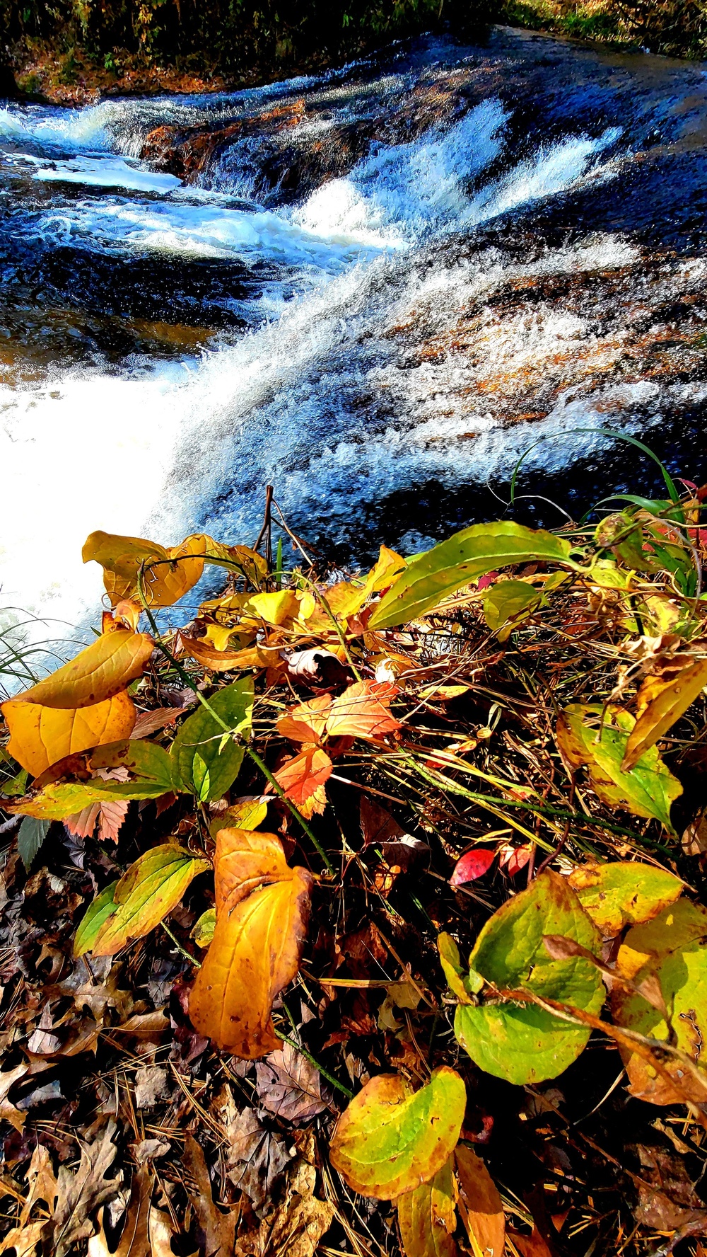 2022 Fall Colors at Trout Falls at Fort McCoy's Pine View Recreation Area