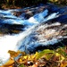 2022 Fall Colors at Trout Falls at Fort McCoy's Pine View Recreation Area