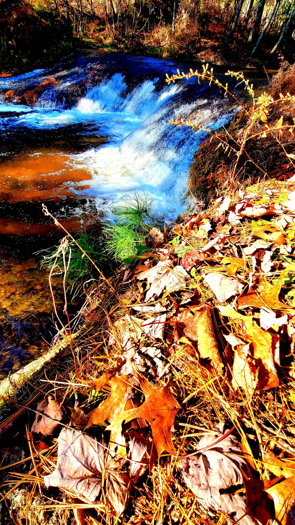 2022 Fall Colors at Trout Falls at Fort McCoy's Pine View Recreation Area