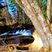 2022 Fall Colors at Trout Falls at Fort McCoy's Pine View Recreation Area