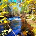 2022 Fall Colors at Trout Falls at Fort McCoy's Pine View Recreation Area