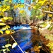 2022 Fall Colors at Trout Falls at Fort McCoy's Pine View Recreation Area