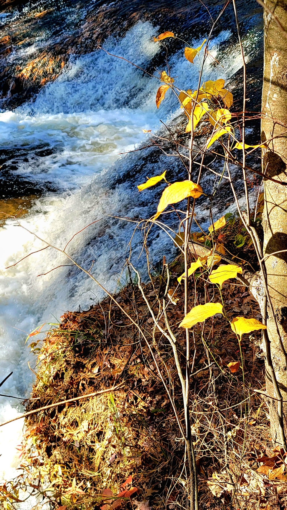 2022 Fall Colors at Trout Falls at Fort McCoy's Pine View Recreation Area