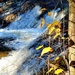 2022 Fall Colors at Trout Falls at Fort McCoy's Pine View Recreation Area