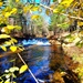 2022 Fall Colors at Trout Falls at Fort McCoy's Pine View Recreation Area