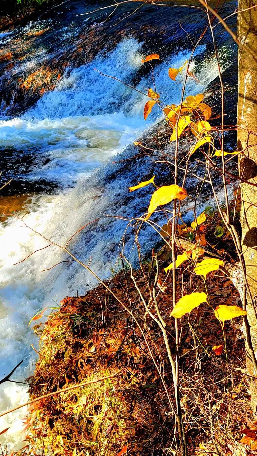 2022 Fall Colors at Trout Falls at Fort McCoy's Pine View Recreation Area