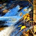 2022 Fall Colors at Trout Falls at Fort McCoy's Pine View Recreation Area