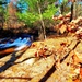 2022 Fall Colors at Trout Falls at Fort McCoy's Pine View Recreation Area