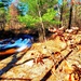 2022 Fall Colors at Trout Falls at Fort McCoy's Pine View Recreation Area