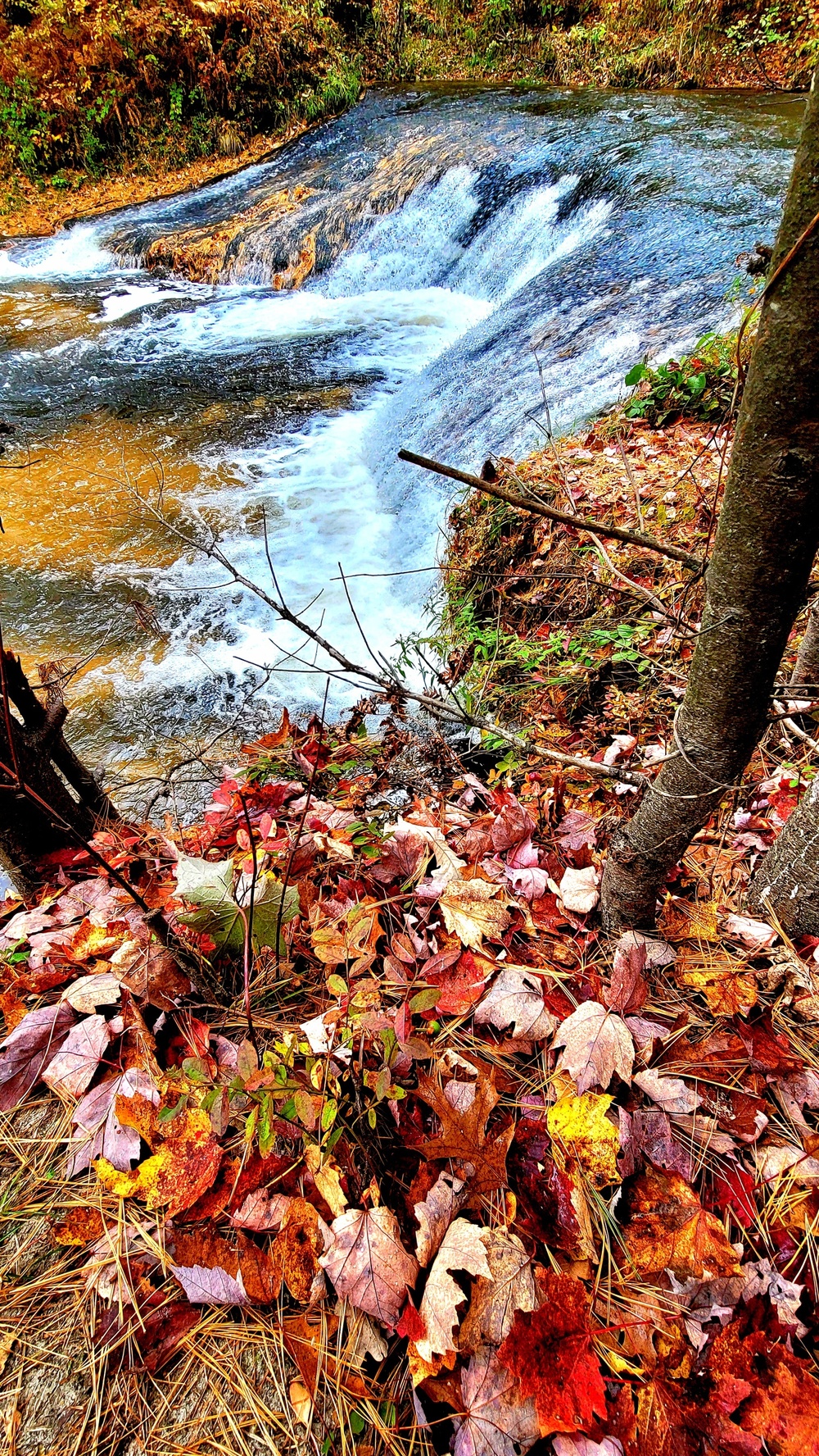 2022 Fall Colors at Trout Falls at Fort McCoy's Pine View Recreation Area