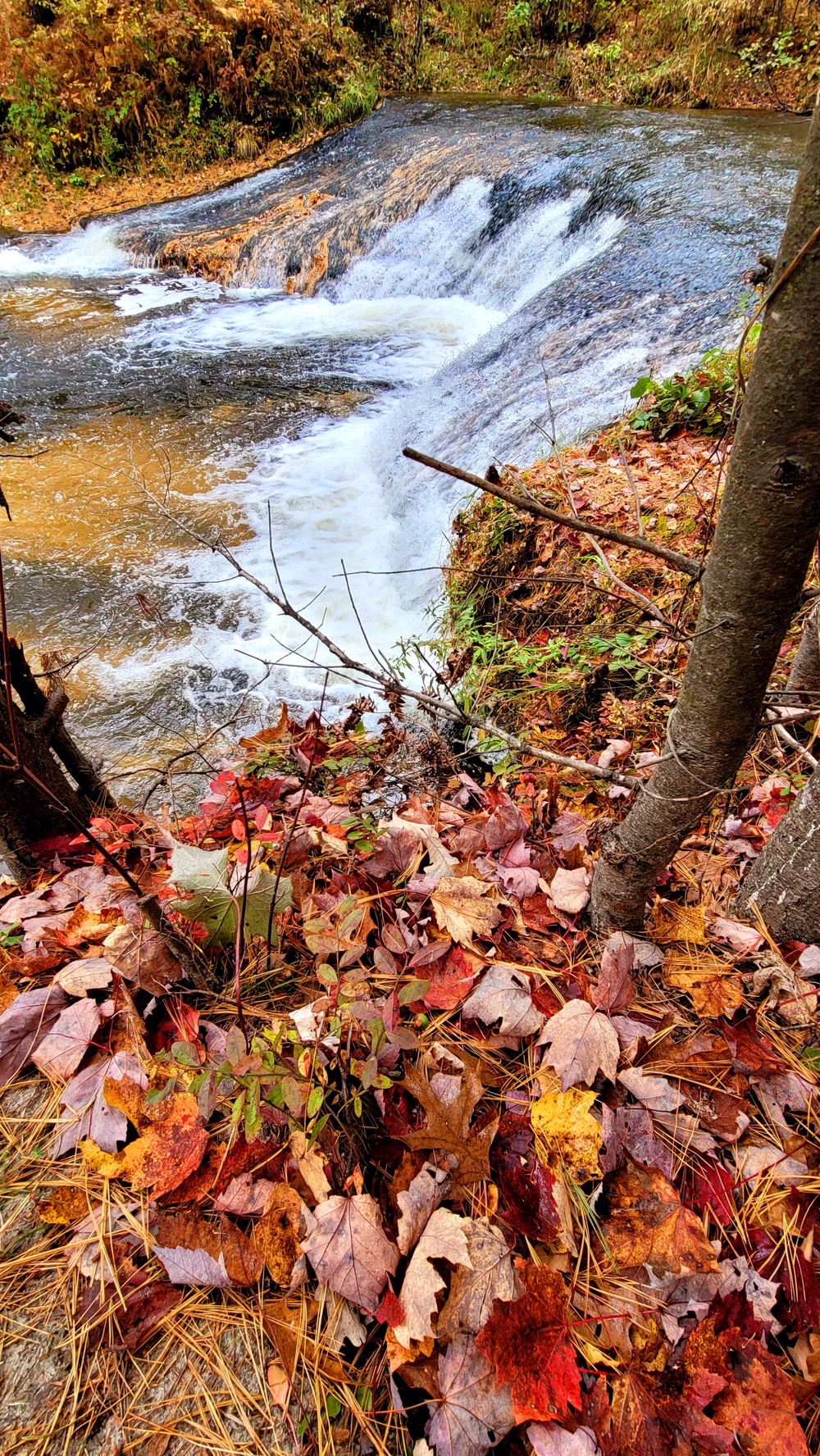 2022 Fall Colors at Trout Falls at Fort McCoy's Pine View Recreation Area