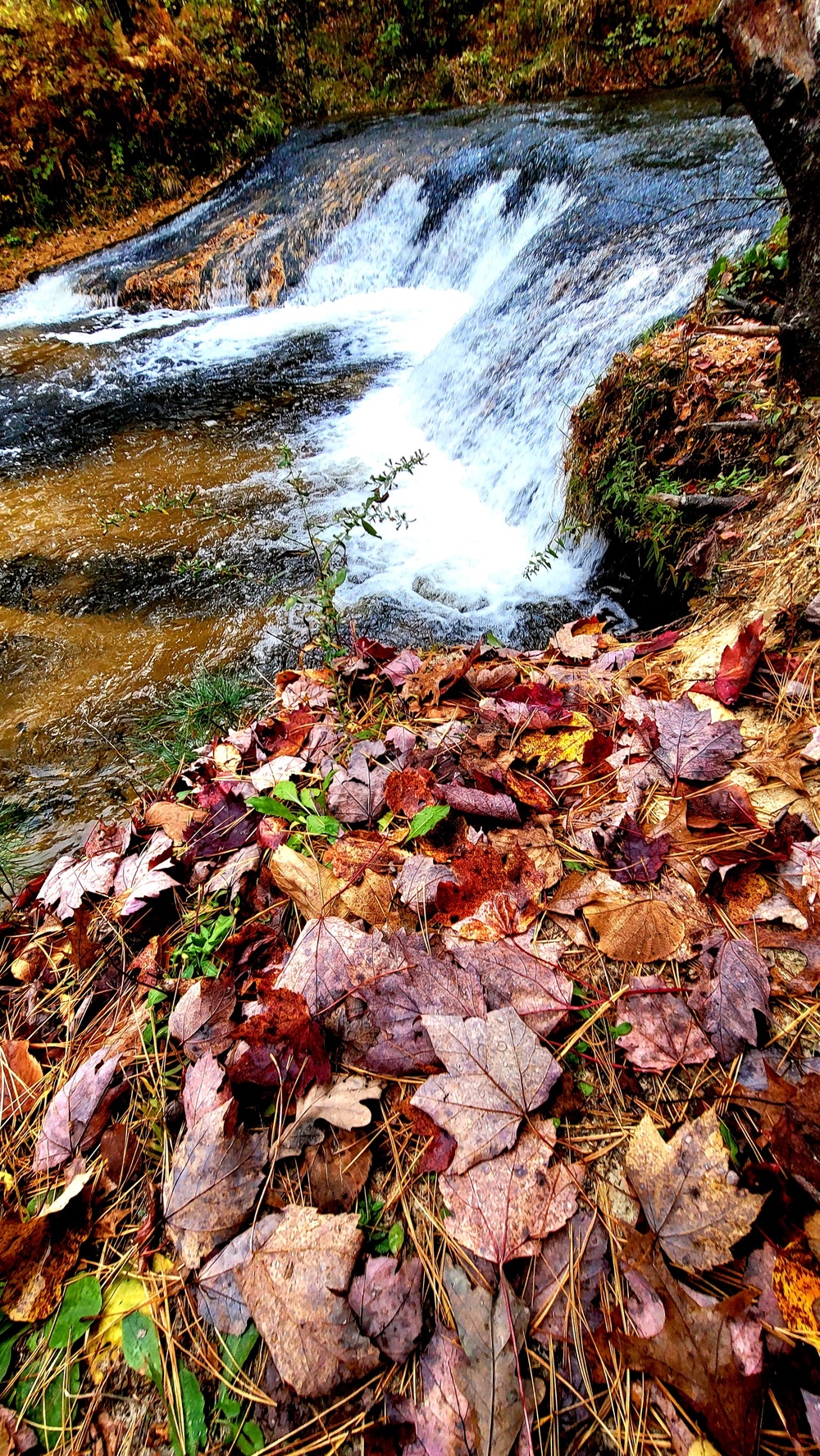 2022 Fall Colors at Trout Falls at Fort McCoy's Pine View Recreation Area