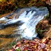 2022 Fall Colors at Trout Falls at Fort McCoy's Pine View Recreation Area