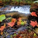 2022 Fall Colors at Trout Falls at Fort McCoy's Pine View Recreation Area