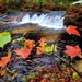 2022 Fall Colors at Trout Falls at Fort McCoy's Pine View Recreation Area