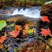 2022 Fall Colors at Trout Falls at Fort McCoy's Pine View Recreation Area