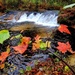 2022 Fall Colors at Trout Falls at Fort McCoy's Pine View Recreation Area