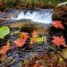 2022 Fall Colors at Trout Falls at Fort McCoy's Pine View Recreation Area