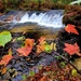 2022 Fall Colors at Trout Falls at Fort McCoy's Pine View Recreation Area