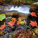 2022 Fall Colors at Trout Falls at Fort McCoy's Pine View Recreation Area