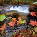 2022 Fall Colors at Trout Falls at Fort McCoy's Pine View Recreation Area