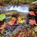 2022 Fall Colors at Trout Falls at Fort McCoy's Pine View Recreation Area