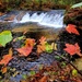 2022 Fall Colors at Trout Falls at Fort McCoy's Pine View Recreation Area