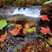 2022 Fall Colors at Trout Falls at Fort McCoy's Pine View Recreation Area