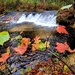 2022 Fall Colors at Trout Falls at Fort McCoy's Pine View Recreation Area