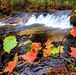 2022 Fall Colors at Trout Falls at Fort McCoy's Pine View Recreation Area