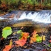 2022 Fall Colors at Trout Falls at Fort McCoy's Pine View Recreation Area