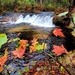 2022 Fall Colors at Trout Falls at Fort McCoy's Pine View Recreation Area