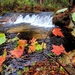 2022 Fall Colors at Trout Falls at Fort McCoy's Pine View Recreation Area