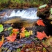 2022 Fall Colors at Trout Falls at Fort McCoy's Pine View Recreation Area