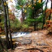 2022 Fall Colors at Trout Falls at Fort McCoy's Pine View Recreation Area