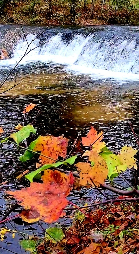 2022 Fall Colors at Trout Falls at Fort McCoy's Pine View Recreation Area