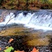2022 Fall Colors at Trout Falls at Fort McCoy's Pine View Recreation Area