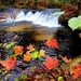 2022 Fall Colors at Trout Falls at Fort McCoy's Pine View Recreation Area