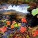 2022 Fall Colors at Trout Falls at Fort McCoy's Pine View Recreation Area