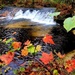 2022 Fall Colors at Trout Falls at Fort McCoy's Pine View Recreation Area