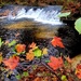 2022 Fall Colors at Trout Falls at Fort McCoy's Pine View Recreation Area