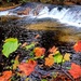 2022 Fall Colors at Trout Falls at Fort McCoy's Pine View Recreation Area