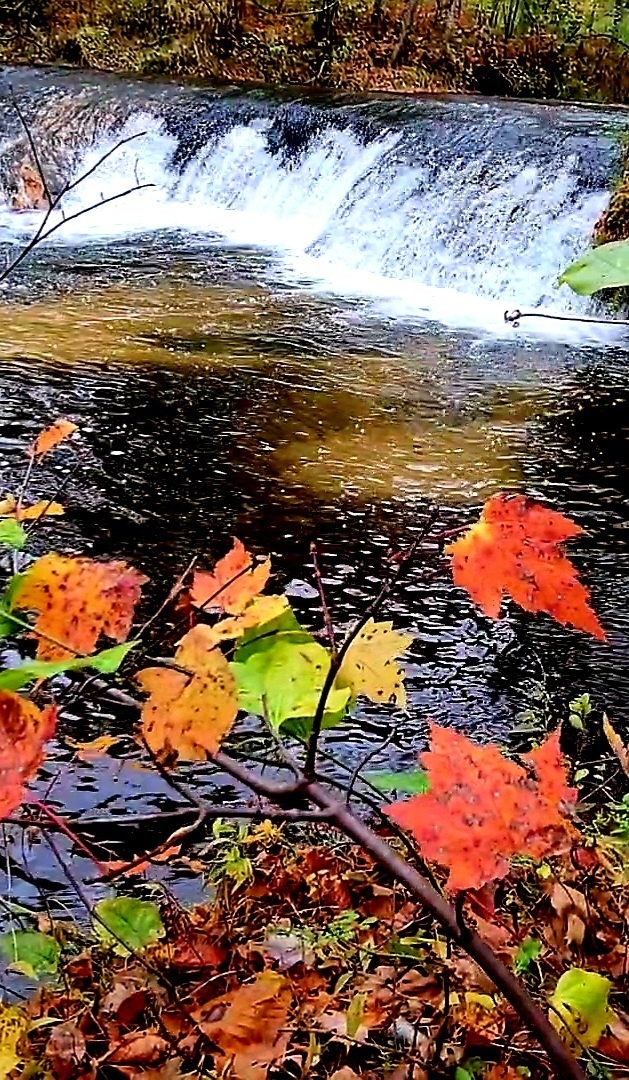 2022 Fall Colors at Trout Falls at Fort McCoy's Pine View Recreation Area