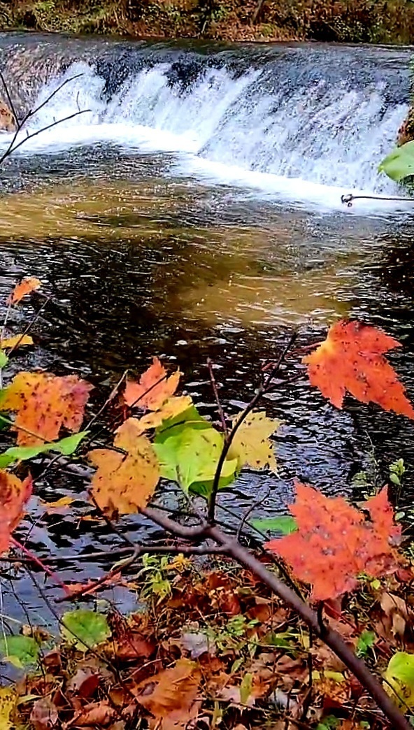 2022 Fall Colors at Trout Falls at Fort McCoy's Pine View Recreation Area